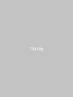 T23 Lily