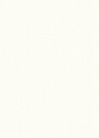 HDF 3.0 (Белый 101) 2500x2070