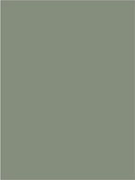 T37  Олива