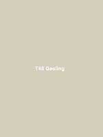 T48 Gaoling