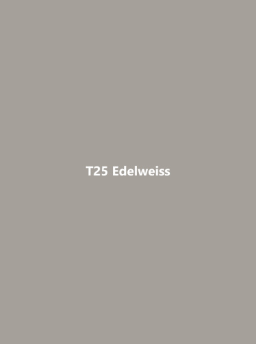 T25 Эдельвейс  фото 2