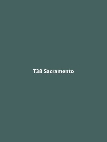 T38 Сакраменто фото 2